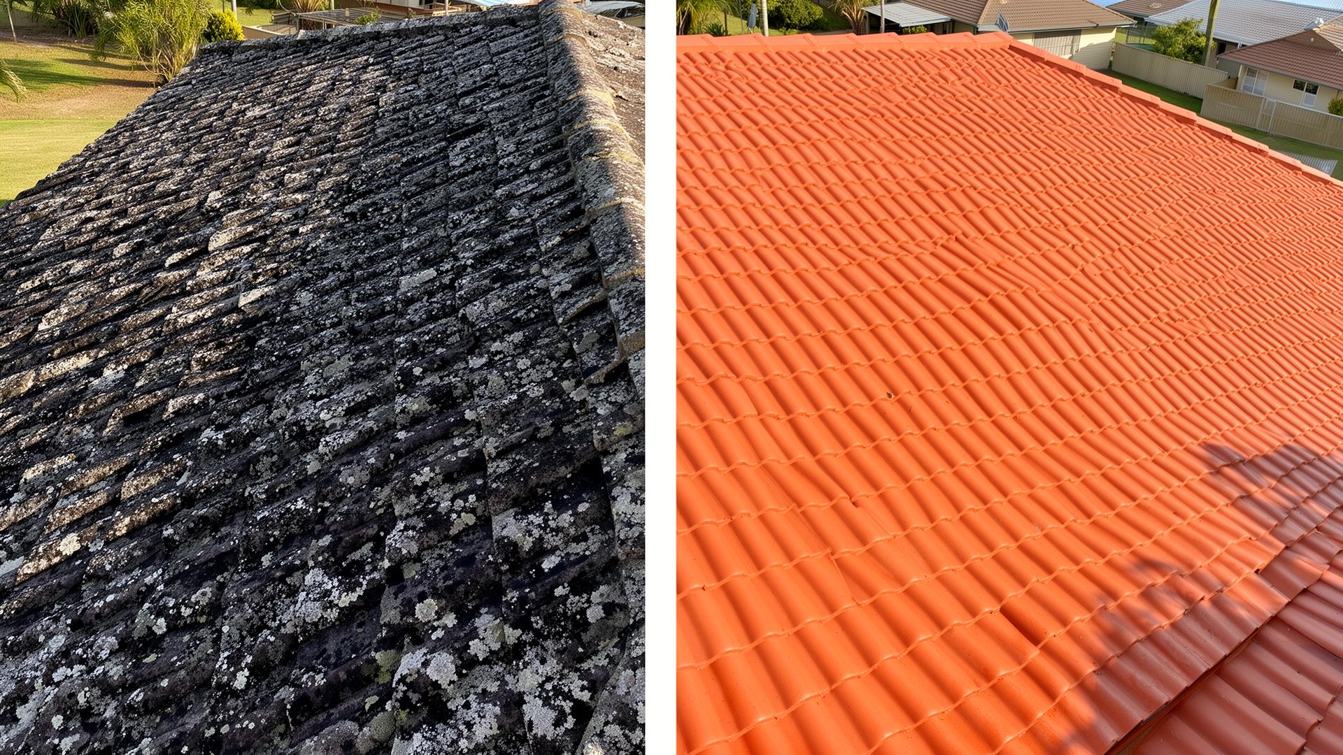 Roof cleaning